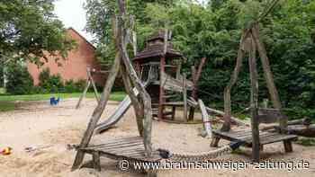 „Beschämend“: Öde Spielplätze in Salzgitter bringen Ortsrat und Eltern in Rage