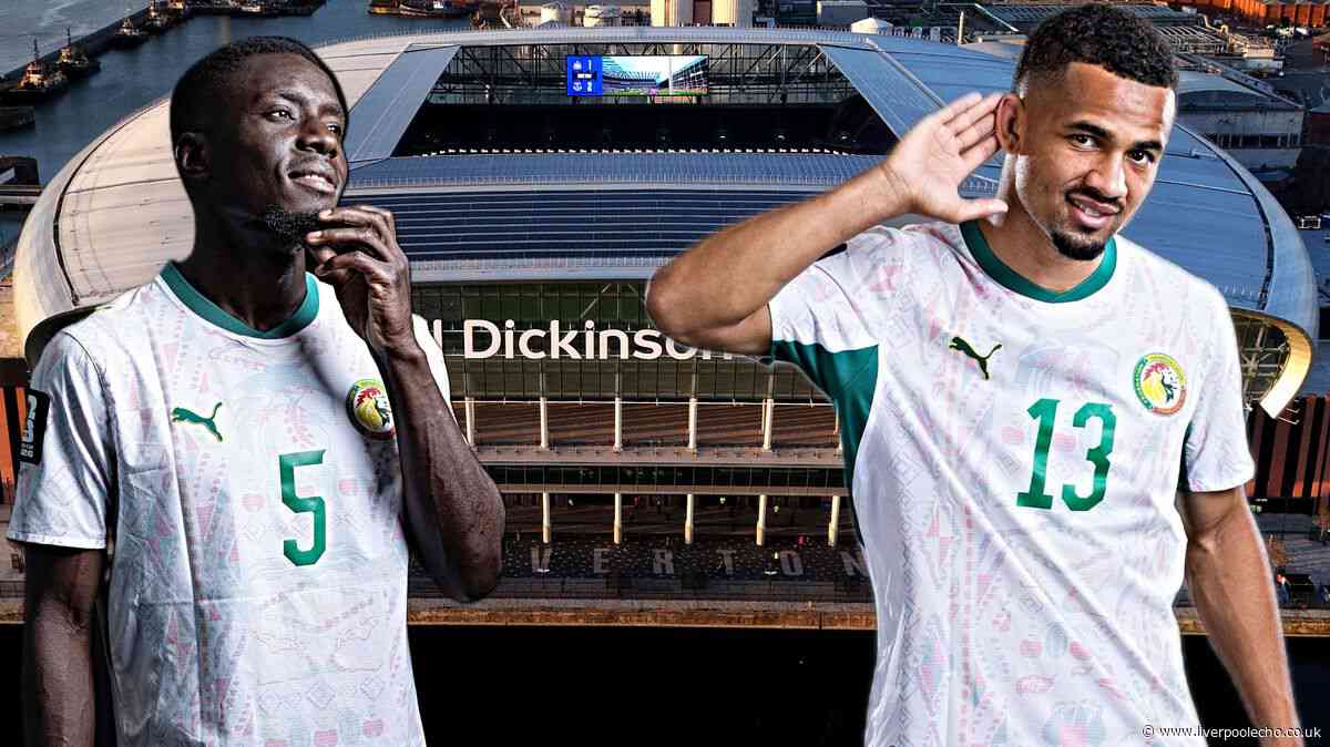 Senegal World Cup star delivers verdict on Iliman Ndiaye and Idrissa Gueye's Everton futures