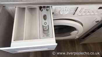 I removed mould and bad smells from my washing machine fast using a £1 Home Bargains cleaner