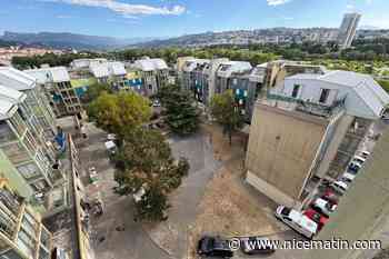 Manque d’entretien, présence de rats, squats : l’agonie d’immeubles voués à la destruction dans ce quartier de Saint-Laurent-du-Var
