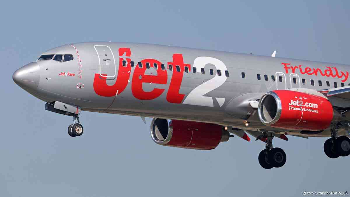 Flight delay warning for passengers of TUI, Jet2, Ryanair and Wizzair
