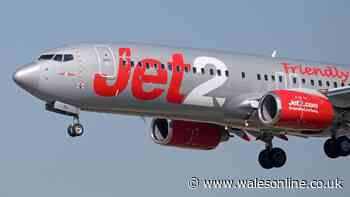 Flight delay warning for passengers of TUI, Jet2, Ryanair and Wizzair