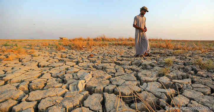 Il clima ruba l’infanzia: ogni grado in più aumenta i bambini colpiti da arresto della crescita, anche cerebrale