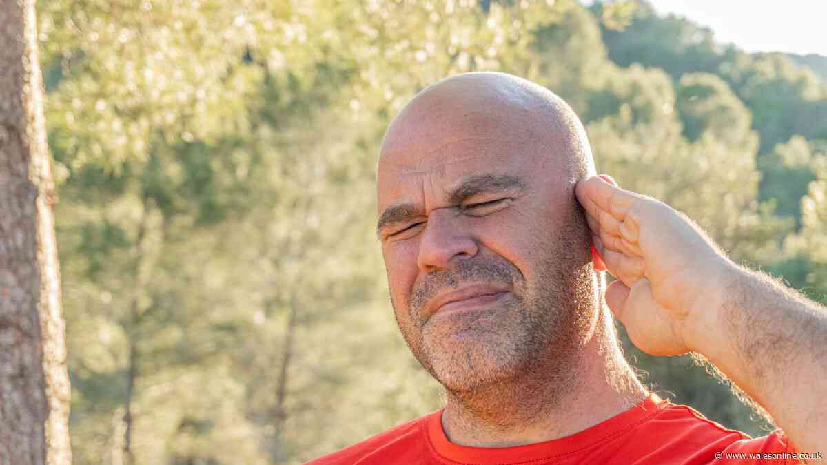 Audiologist issues health warning - beware from Monday, June 22