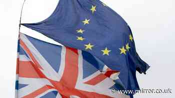 'Ten years on from referendum support for EU membership is growing'