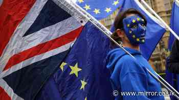 'Brexit was not seismic shock needed for economy - Red Wall must get investment'