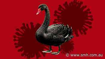 Deadly bird flu puts 100 species of Australia’s ‘isolated’ wildlife at risk of mass deaths