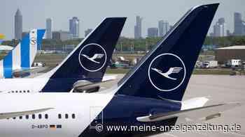 Mit dem Flugzeug in den Sommerurlaub: So werden Sie zum Liebling an Bord