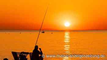 Mann angelt mit Kindern auf Urlaubsinsel – und macht 60.000 Euro Fund