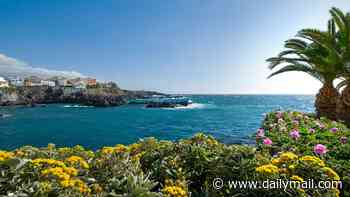 Brit dies after being violently mugged 'by Senegalese immigrant' while out celebrating his birthday with his wife in Tenerife