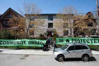 Municipal election could be turning point for non-profits fighting gentrification
