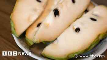 China's import of custard apples is sparking fears in Taiwan