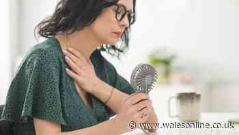 Laywer explains when it is legally 'too hot to work' in the UK