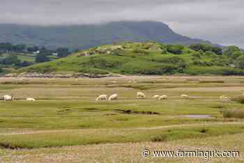 Kepak job cut talks raise concerns for Welsh red meat sector