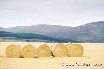 Rural economy key to Scotland's food security, report says