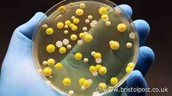 Deadly disease warning to 3million homes in UK as 6,000 cases predicted