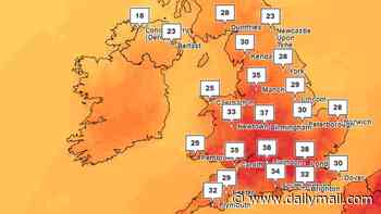 You think this is hot? Scientist claims the UK could hit 43°C this summer