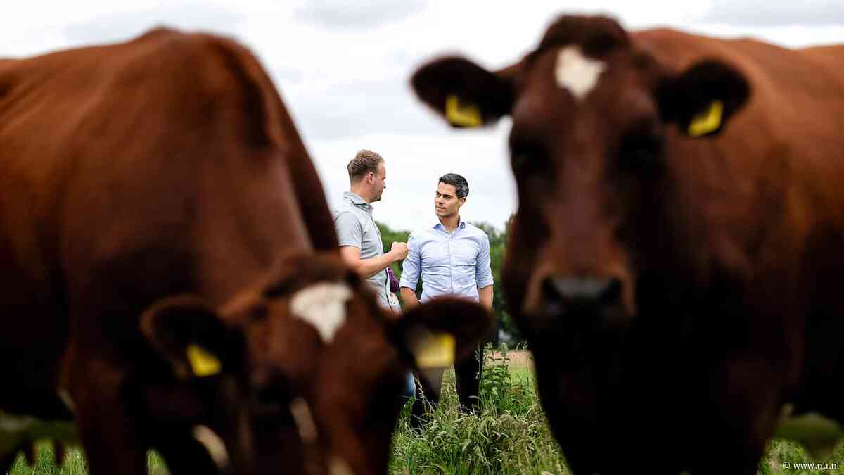 Ingrijpend stikstofpakket in de maak: volhardt het kabinet dit keer wel?