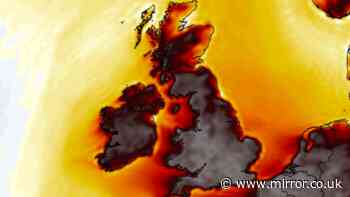 Met Office issues RED heatwave weather warning as 50 areas face 40C – full list