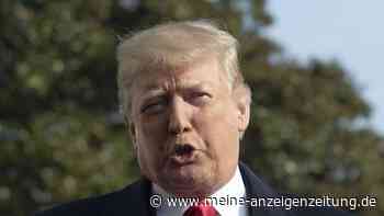Ex-Olympionike beim Spiegelbecken festgenommen – was steckt hinter Trumps Vandalismus-Vorwürfen?