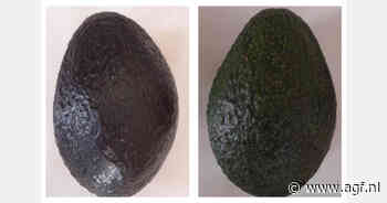 Hoe een onzichtbaar laagje de avocadoketen kan redden
