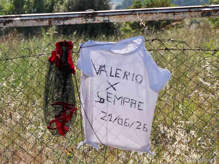 Sballati al volante e strage di ragazzi. Il governo ai ripari: "Subito un tavolo"