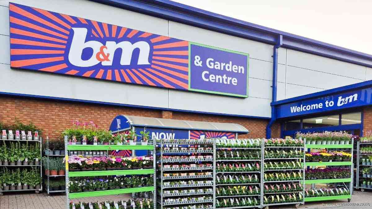 'Perfect cooling solution' B&M fan has price slashed to £12