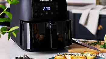 'Fantastic' Lakeland air fryer has cooks 'no longer using oven' is now under £90