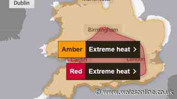 Exactly what a red warning for hot weather means as Met Office issues health alert