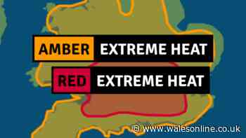 Red weather warning issued for Wales as Met Office says 'extremely rare' heatwave temperatures will hit