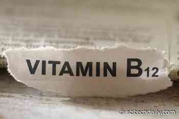 Why Older Adults Need To Pay Closer Attention to Vitamin B12