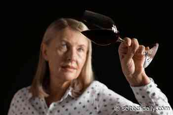 2,000-Year-Old Grape Seeds Rewrite the History of Italian Wine