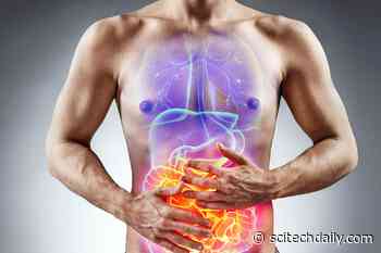 Scientists Uncover Cause of Inflammatory Bowel Disease Solving Decades-Old Mystery