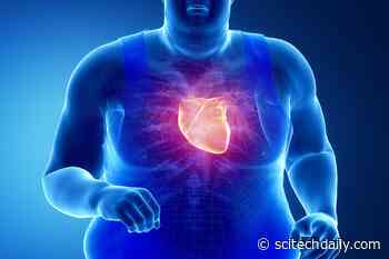 The Surprising Reason Swimming Could Be Better for Your Heart Than Running