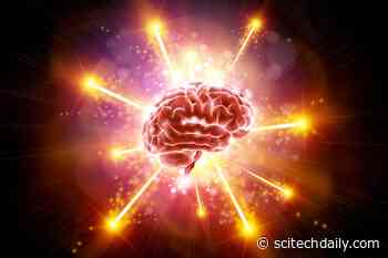 Could Vitamin C Be the Secret to Keeping Your Brain Younger?