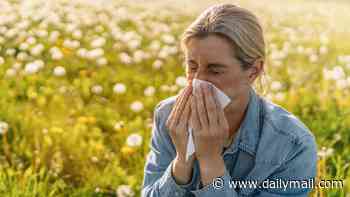 UK told to brace for pollen bomb triggered by 'stop-start' weather