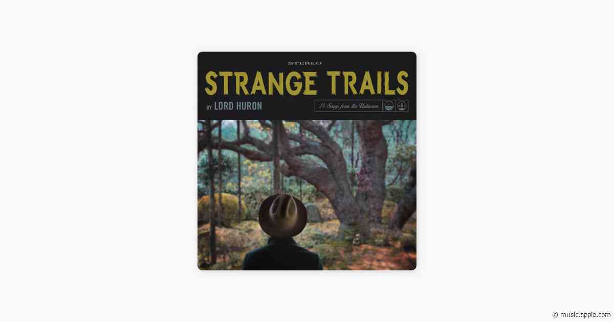 The Night We Met - Lord Huron