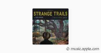The Night We Met - Lord Huron