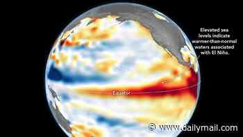 Super El Niño is underway: NASA map confirms warmer-than-normal water temperatures in the equatorial Pacific - with devastating consequences