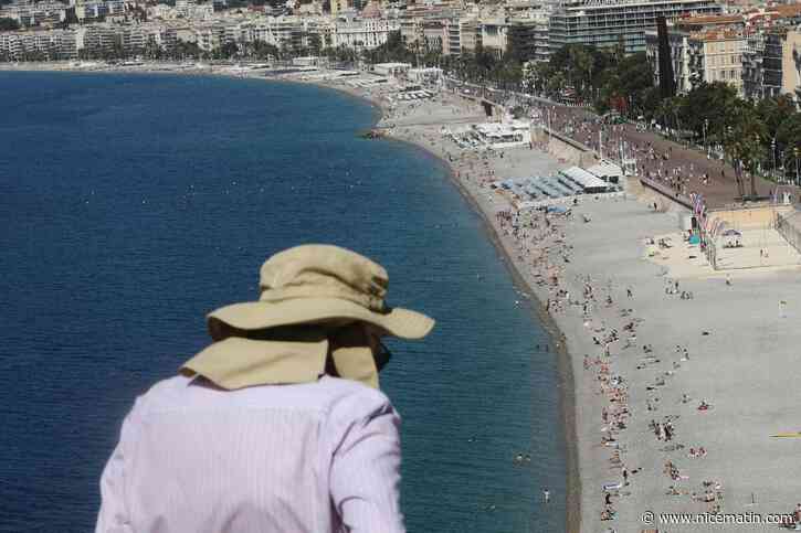 Dôme de chaleur, nuit tropicale, stress thermique… : vous ne vous y retrouvez plus avec tous ces termes ? Voici notre lexique de la canicule
