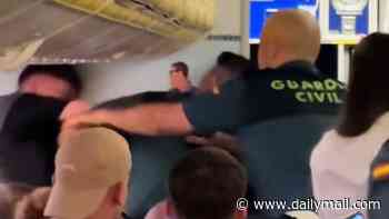 Moment 'drunk' passenger brawls with police after 'lovers' tiff' sparked row during UK flight to Mallorca