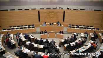Gleichstellung im Parlament: Ohne Quote ändert sich nichts
