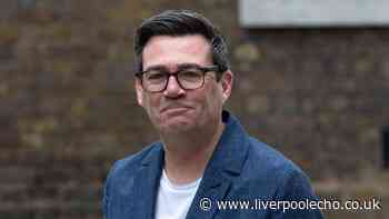 Andy Burnham has already made Everton vow if he became PM and detailed desired football change