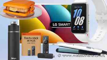 From TVs to heatwave and beauty buys - what shoppers snapped up last Amazon Prime Day