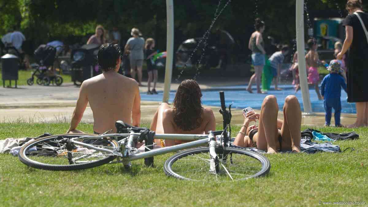 'I'm a doctor and this is why you shouldn't take your shirt off in heatwave'
