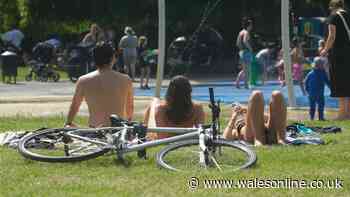'I'm a doctor and this is why you shouldn't take your shirt off in heatwave'