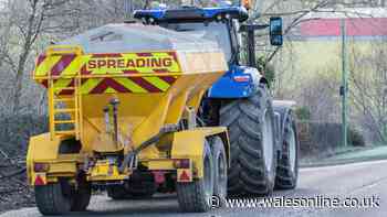 Gritters will be on roads this week as RAC says put umbrella in your car