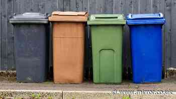 Stop bins smelling in hot weather by sprinkling 1 kitchen item inside