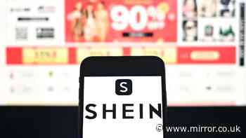 Woman orders bag from Shein but is gobsmacked when she opens it