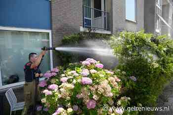 Brandweer blust brandende haag
